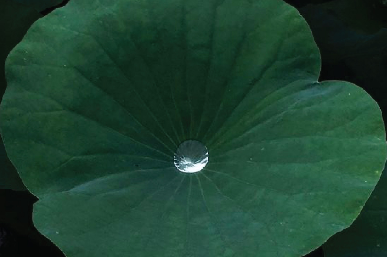 Blog 2